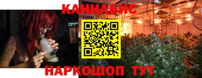 jwh Новозыбков