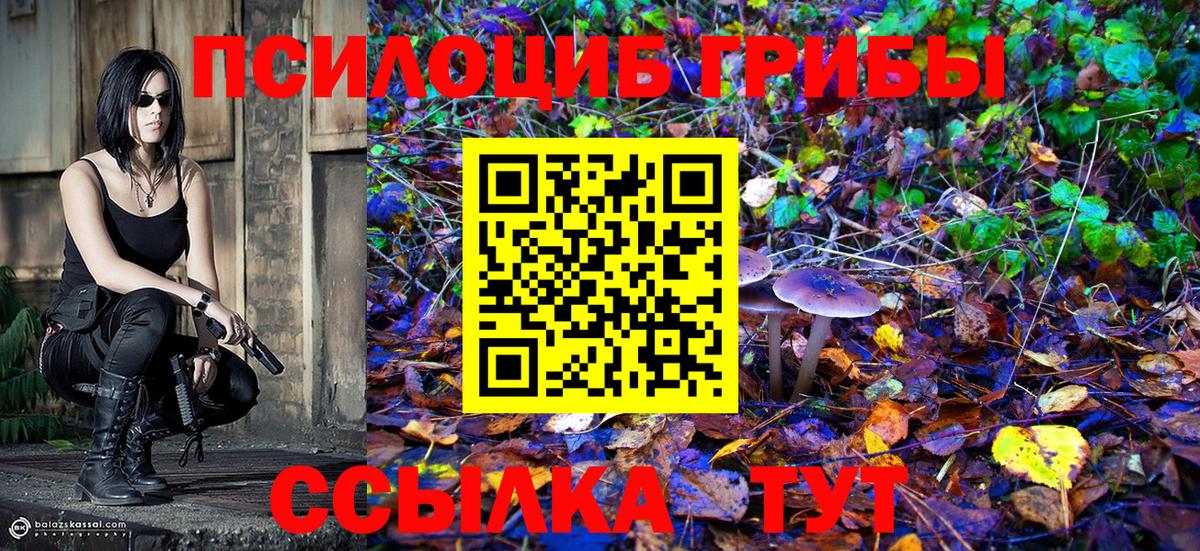Семёнов  купить наркотики цена  Вход с VPN  Псилоцибиновые грибы Psilocybine cubensis 
